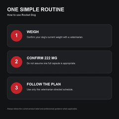 Rocket Dog How To Use