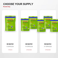 Rocket Dog Supply Guide