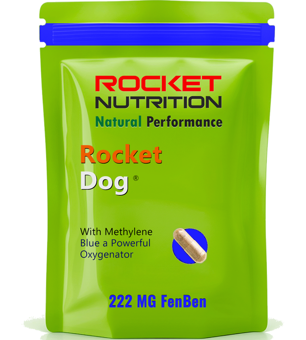 Rocket Dog